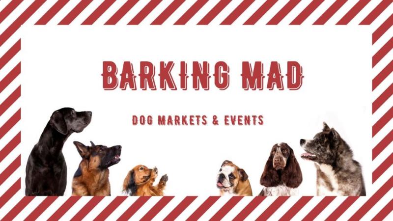 BARKING MAD @ ARDMORE (NZ Dogs National)